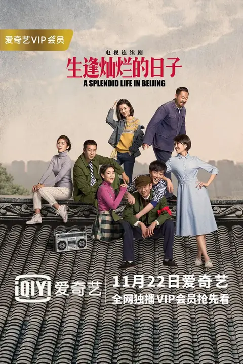 《生逢灿烂的日子》封面