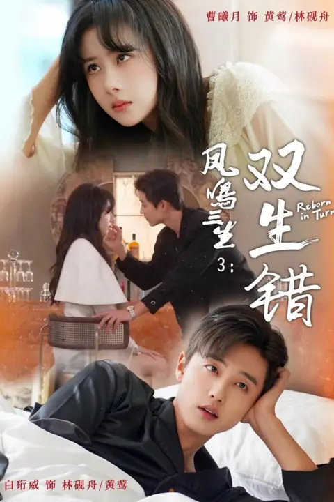 《凤鸣三生：双生错》封面