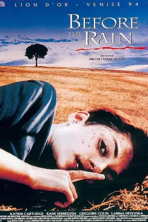 《暴雨将至》封面