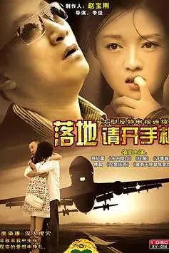 《落地,请开手机》封面