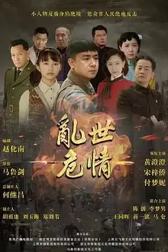 《乱世危情》封面
