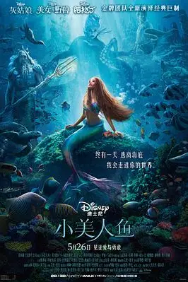 《小美人鱼》封面