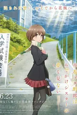 《青春期猪头少年不会梦到娇怜外出妹》封面