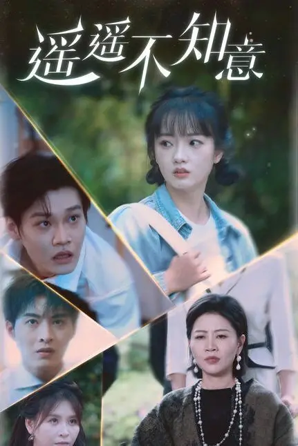 《遥遥不知意》封面