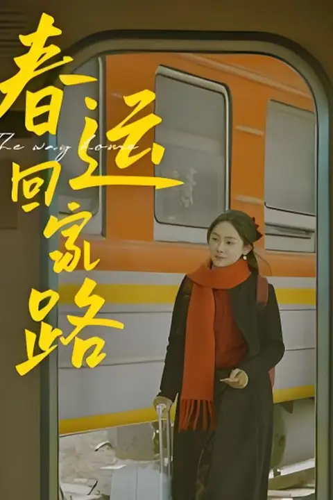 《春运回家路》封面