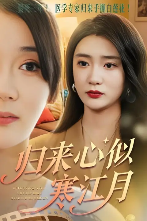 《归来心似寒江月》封面