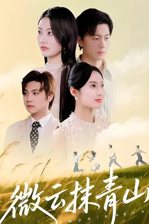 《微云抹青山》封面