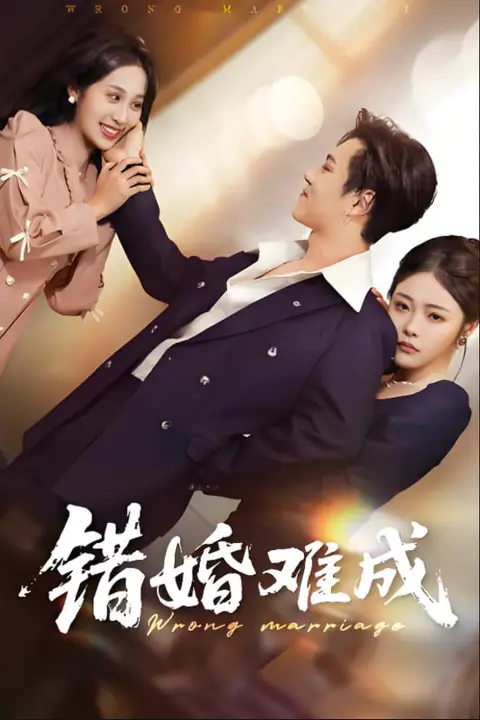 《错婚难成》封面