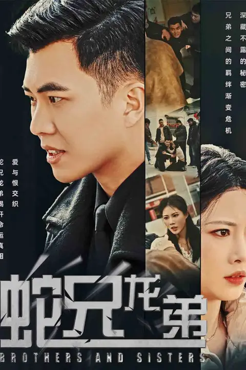 《蛇兄龙弟》封面