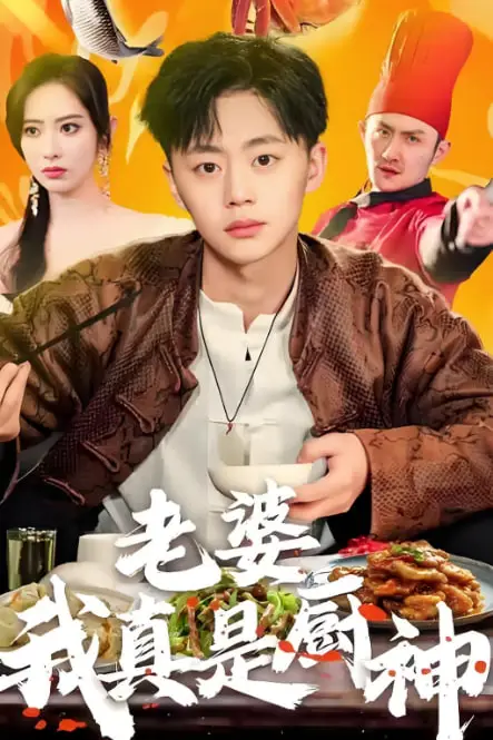 《老婆我真是厨神》封面