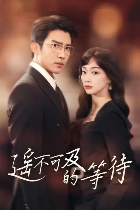 《遥不可及的等待》封面