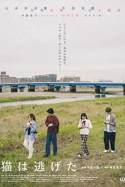 《猫猫逃走了》封面
