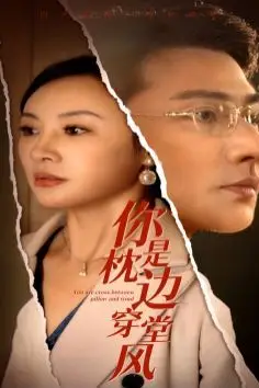 《你是枕边穿堂风》封面