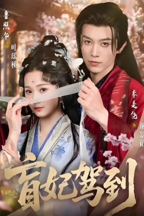 《盲妃驾到》封面