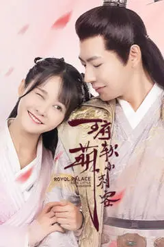 《王府软萌小刺客》封面