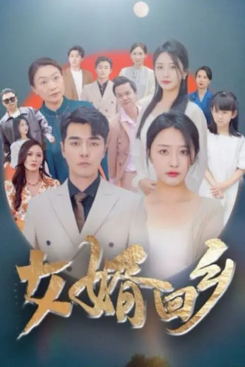 《女婿回乡》封面