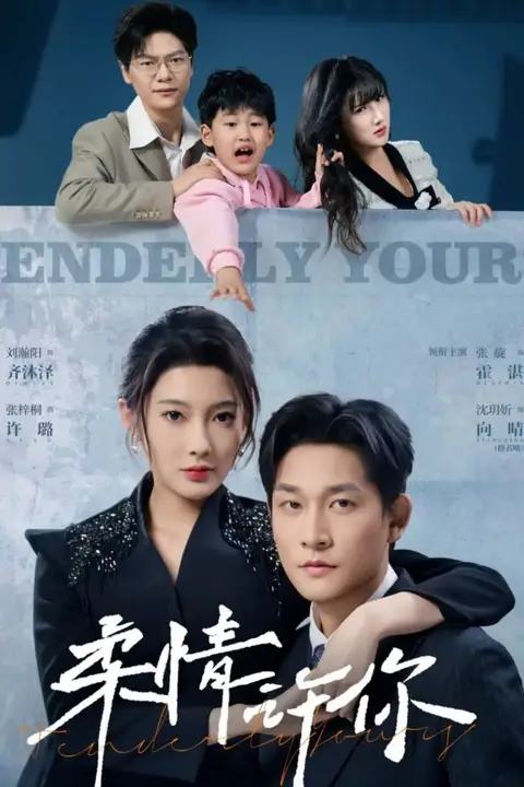 《柔情许你》封面