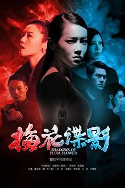 《梅花谍影》封面