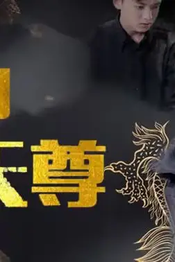 《龙帅天尊》封面