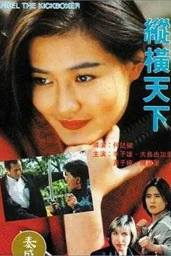 《纵横天下》封面