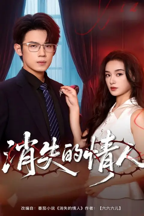 《消失的情人》封面