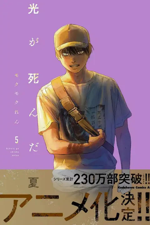 《光逝去的夏天》封面