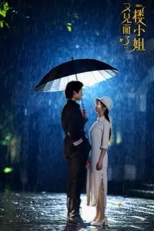 《又见面了楼小姐》封面