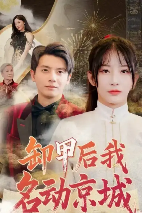 《卸甲后我名动京城》封面