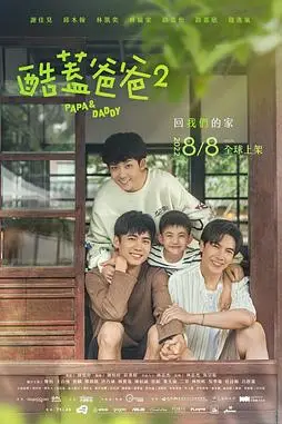 《酷盖爸爸2》封面