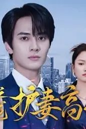 《隐龙之护妻高手》封面