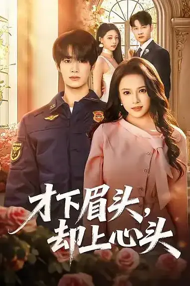 《才下眉头，却上心头》封面