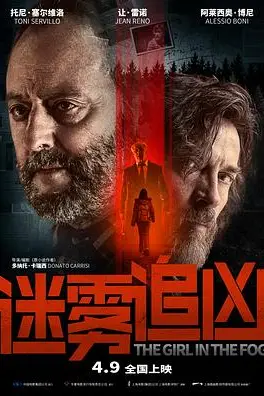 《迷雾追凶》封面