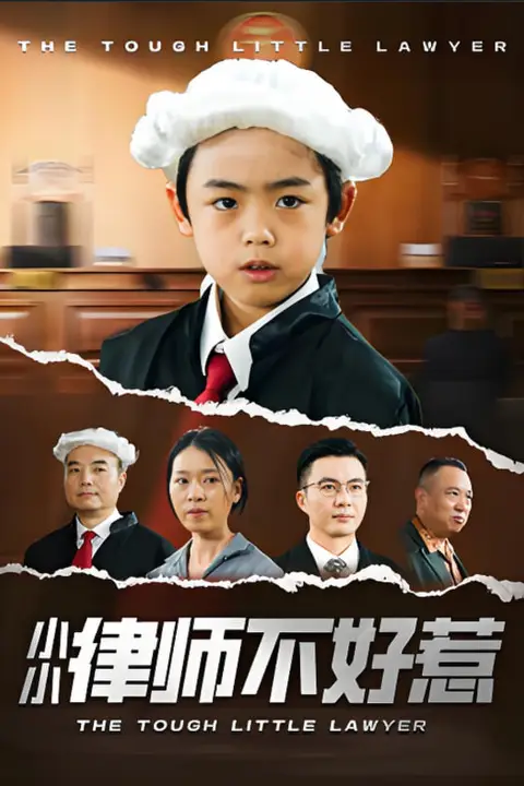《小小律师不好惹》封面