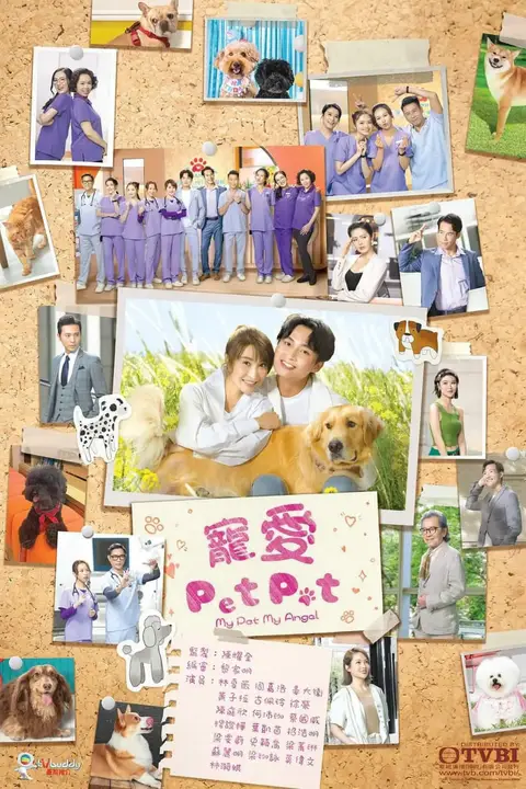 《宠爱Pet Pet》封面