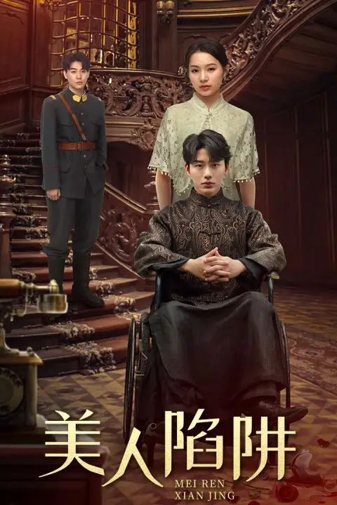 《美人陷阱》封面