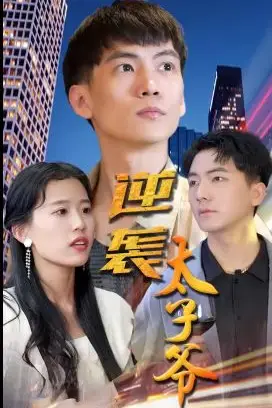 《逆袭太子爷》封面