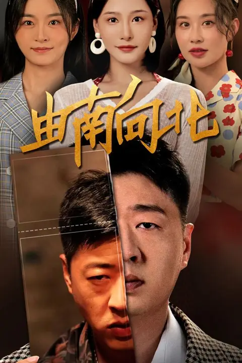 《由南向北》封面