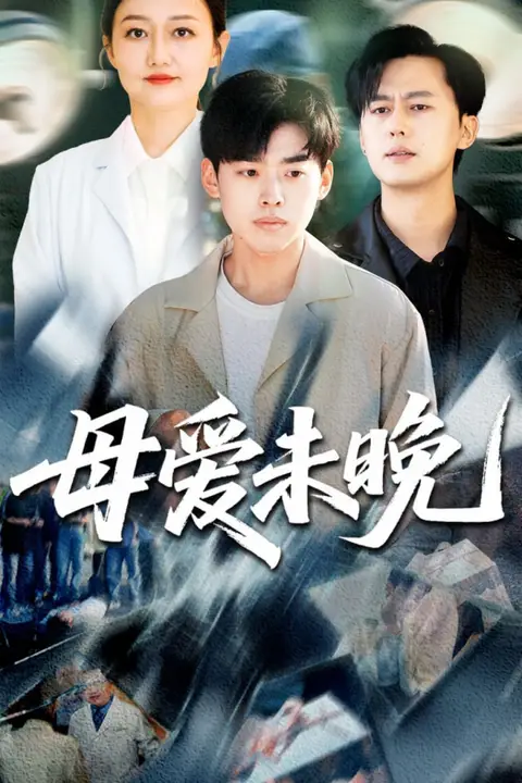 《母爱未晚》封面