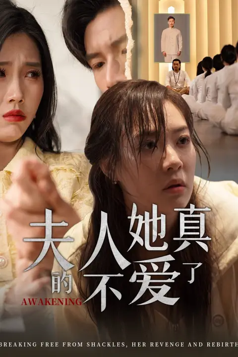 《夫人她真的不爱了》封面