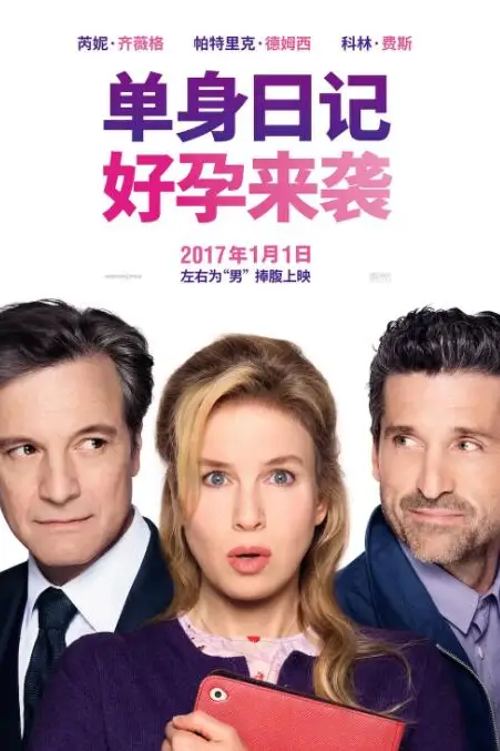 《单身日记：好孕来袭》封面