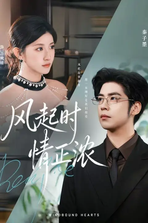 《风起时情正浓》封面