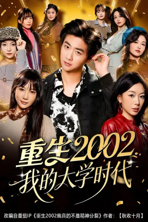 《重生2002我的大学时代》封面