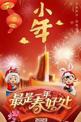 《安徽卫视2023年春节联欢晚会》封面