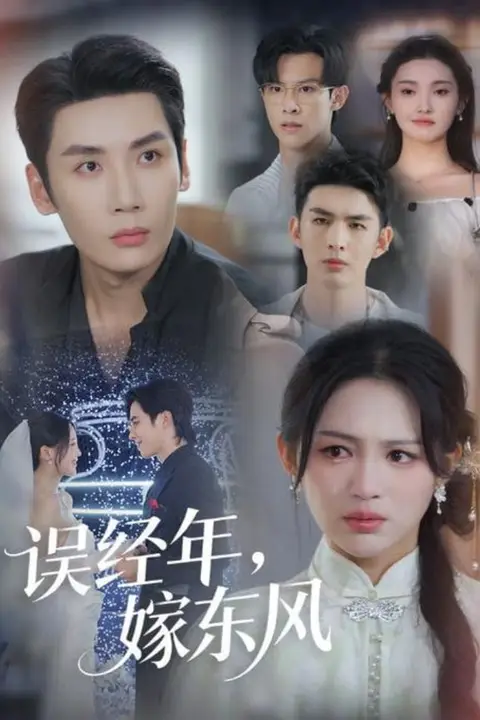 《误经年,嫁东风(误经年嫁东风)》封面