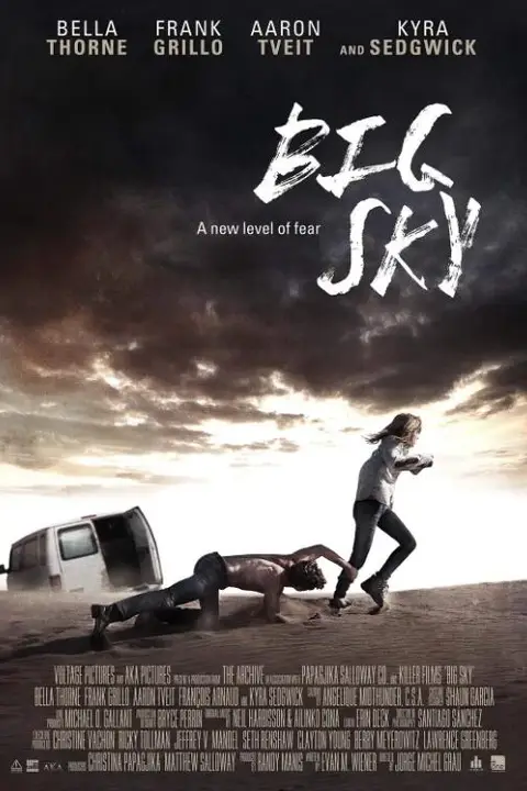 《辽阔天空》封面
