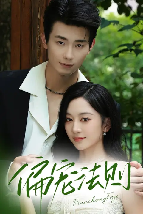 《偏宠法则》封面