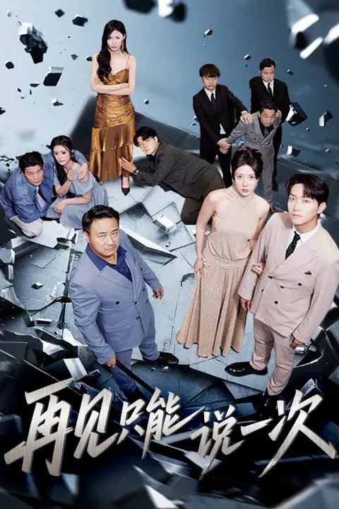 《再见只能说一次》封面