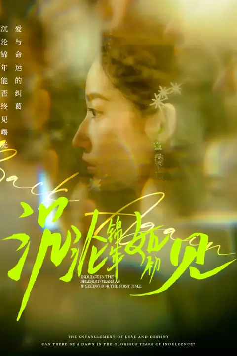 《沉沦锦年如初见》封面