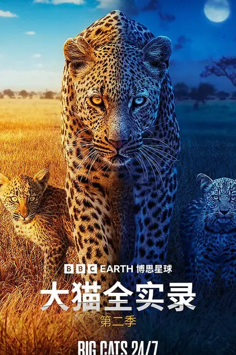 《大猫全实录 第二季》封面