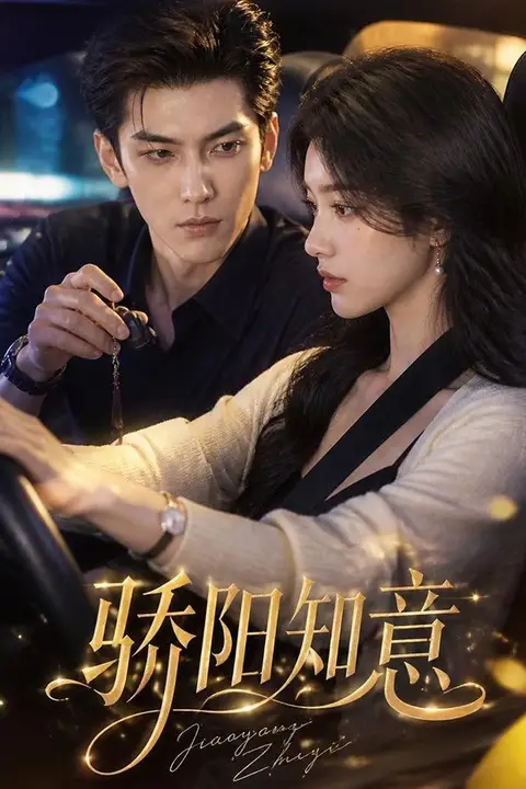 《骄阳知意》封面